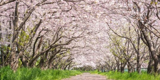 April 16: Facts & Historical Events On This Day