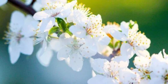 April 17: Facts & Historical Events On This Day