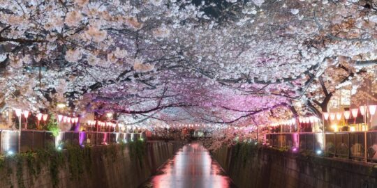 April 18: Facts & Historical Events On This Day