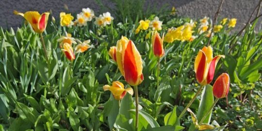 April 19: Facts & Historical Events On This Day