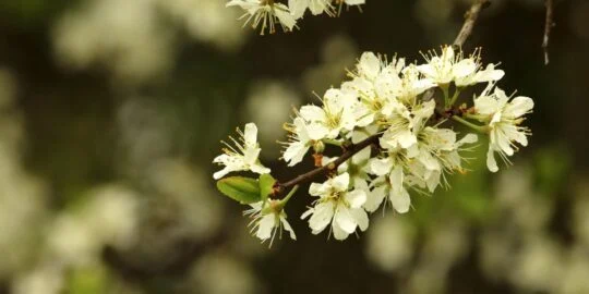 April 20: Facts & Historical Events On This Day