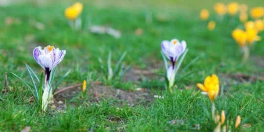 April 21: Facts & Historical Events On This Day