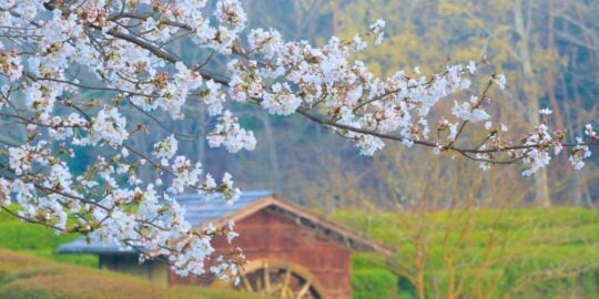 April 23: Facts & Historical Events On This Day