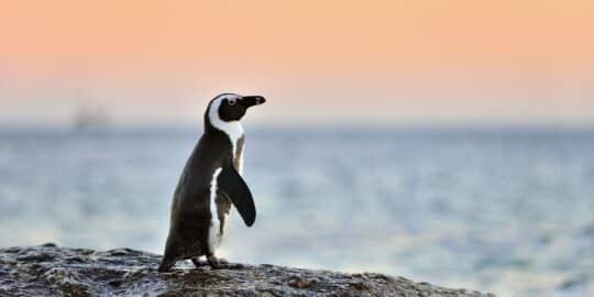 April 25: Facts & Historical Events On This Day