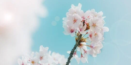 April 26: Facts & Historical Events On This Day