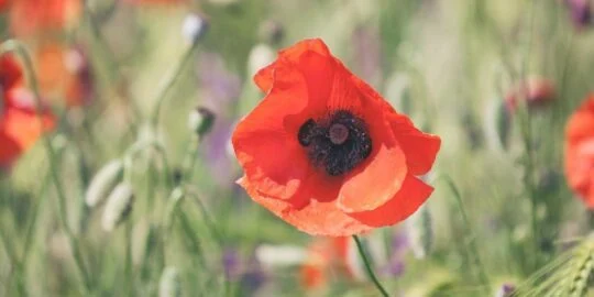 April 27: Facts & Historical Events On This Day