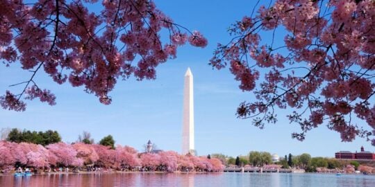 April 29: Facts & Historical Events On This Day