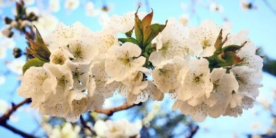 April 3: Facts & Historical Events On This Day