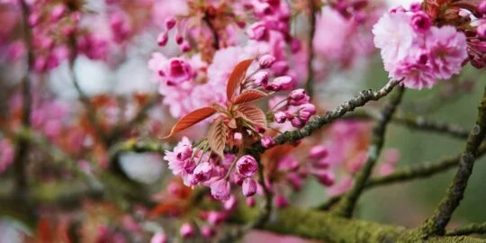 April 30: Facts & Historical Events On This Day