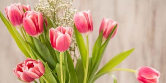 April 4: Facts & Historical Events On This Day