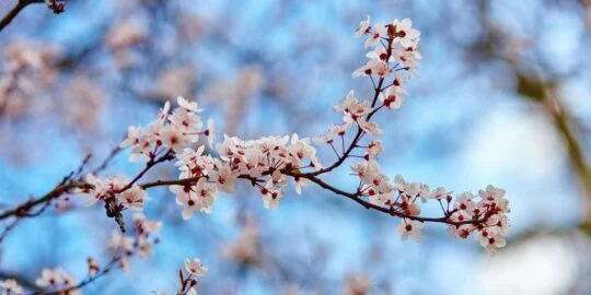 April 5: Facts & Historical Events On This Day