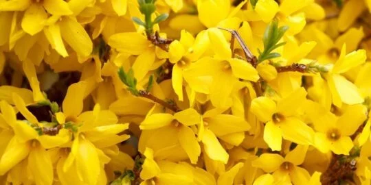 April 6: Facts & Historical Events On This Day