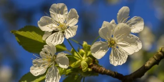 April 7: Facts & Historical Events On This Day