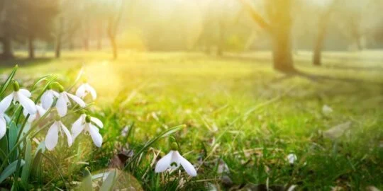 April 9: Facts & Historical Events On This Day