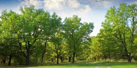 August 10: Facts & Historical Events On This Day