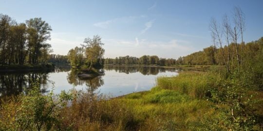 August 11: Facts & Historical Events On This Day