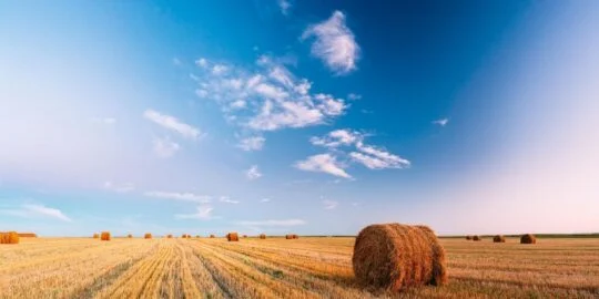 August 13: Facts & Historical Events On This Day