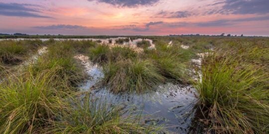 August 17: Facts & Historical Events On This Day