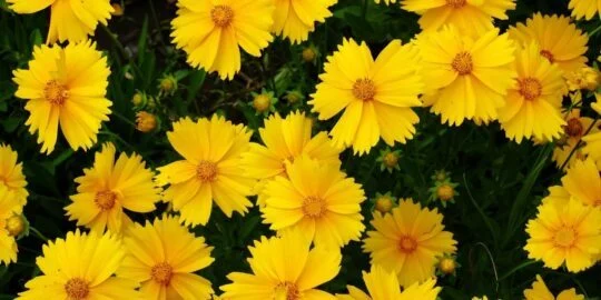 August 19: Facts & Historical Events On This Day