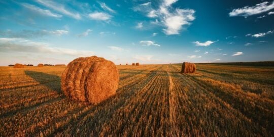 August 2: Facts & Historical Events On This Day