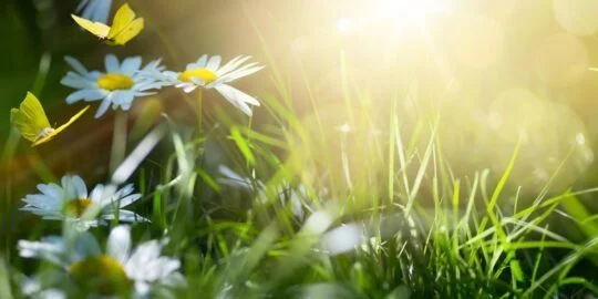 August 21: Facts & Historical Events On This Day