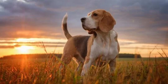 August 22: Facts & Historical Events On This Day