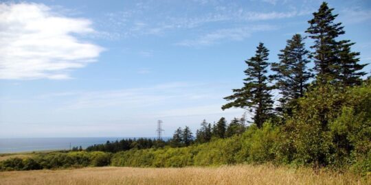 August 23: Facts & Historical Events On This Day