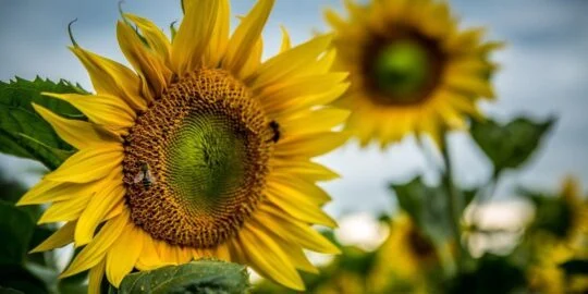 August 24: Facts & Historical Events On This Day