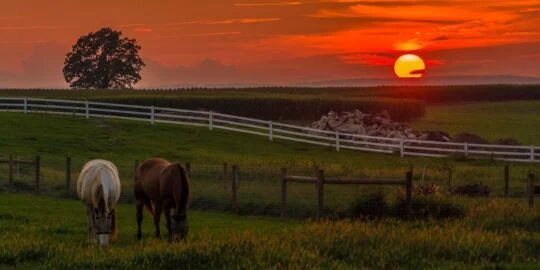 August 25: Facts & Historical Events On This Day