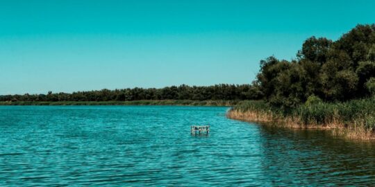 August 26: Facts & Historical Events On This Day