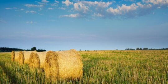 August 27: Facts & Historical Events On This Day