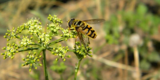 August 28: Facts & Historical Events On This Day