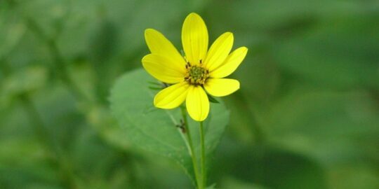 August 29: Facts & Historical Events On This Day