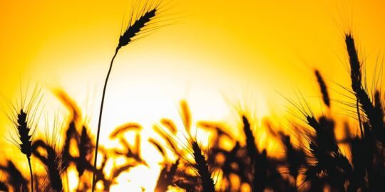 August 3: Facts & Historical Events On This Day