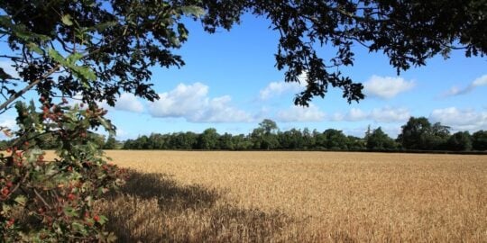 August 30: Facts & Historical Events On This Day