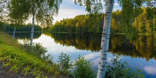 August 31: Facts & Historical Events On This Day