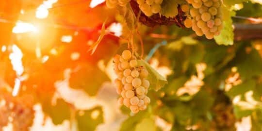 August 6: Facts & Historical Events On This Day