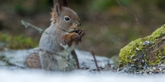 December 10: Facts & Historical Events On This Day