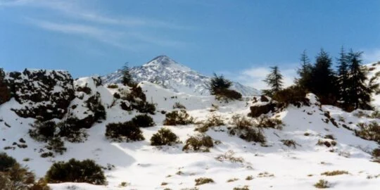 December 13: Facts & Historical Events On This Day