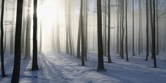 December 16: Facts & Historical Events On This Day