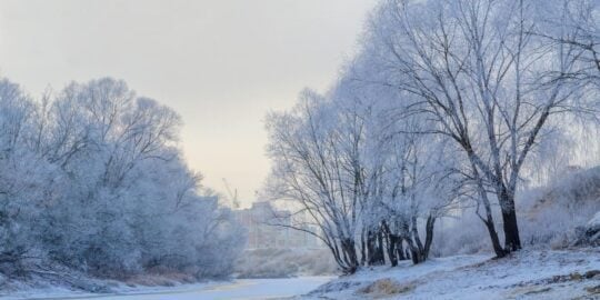 December 18: Facts & Historical Events On This Day