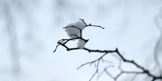 December 20: Facts & Historical Events On This Day