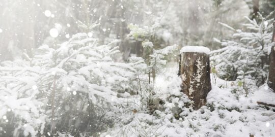 December 22: Facts & Historical Events On This Day