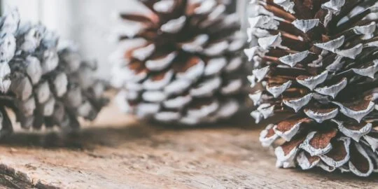 December 23: Facts & Historical Events On This Day