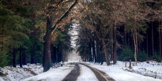 December 6: Facts & Historical Events On This Day