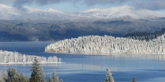 December 7: Facts & Historical Events On This Day