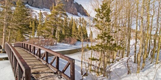 February 1: Facts & Historical Events On This Day