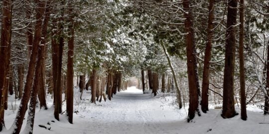 February 10: Facts & Historical Events On This Day