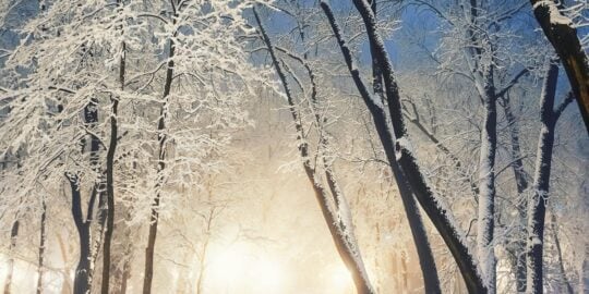 February 11: Facts & Historical Events On This Day