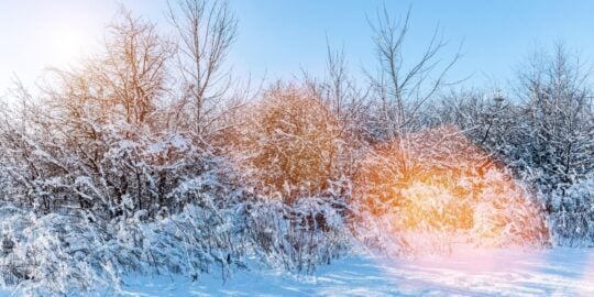 February 12: Facts & Historical Events On This Day